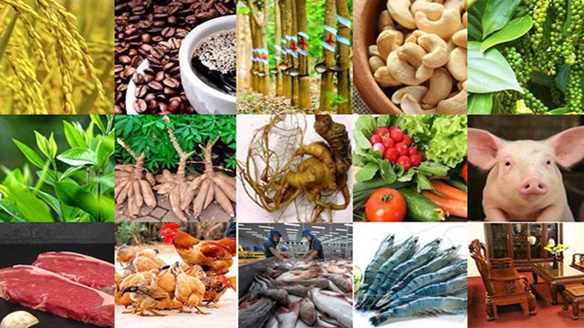 Ảnh hưởng của dịch Covit19 đến các ngành hàng xuất khẩu
